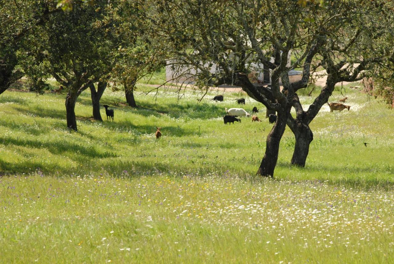 Villa Casa Da Aldeia Alcaria Ruiva Esterno foto